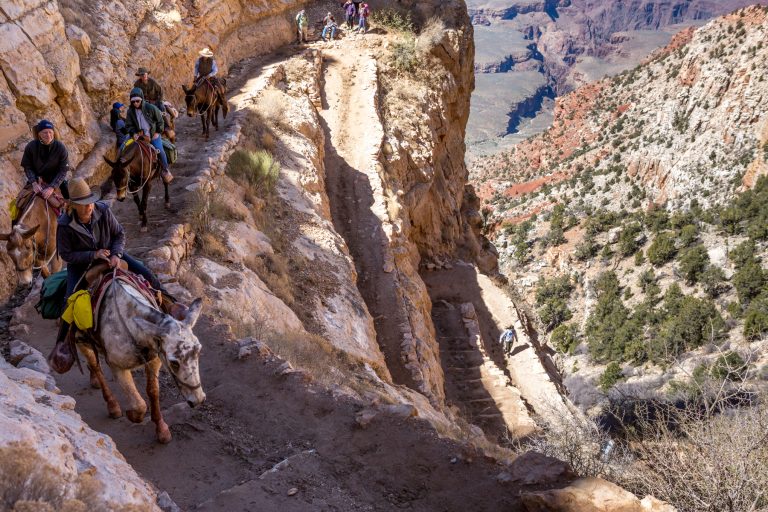 Lightfoot J The Great Grand Canyon Mule Ride 07 – Sierra Camera Club