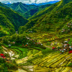 terraces carved on mountain side philippines - Rice Jose