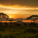 Visit to Tanzania 07 - A Don