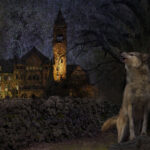 The Wolf at the Door - Jan Lightfoot