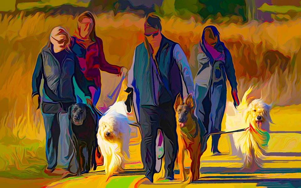 Dog Walking - Truman Holtzclaw