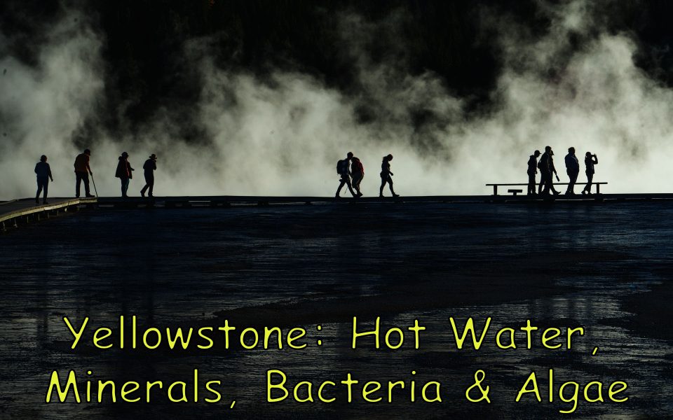 Yellowstone:  Hot Water, Minerals, Bacteria & Algae 01 - Truman Holtzclaw