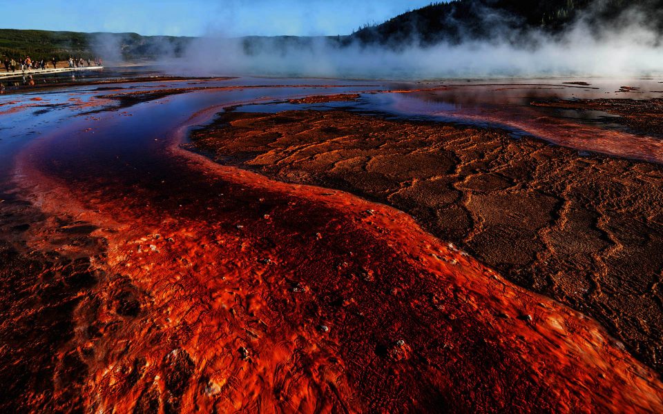 Yellowstone:  Hot Water, Minerals, Bacteria & Algae 03 - Truman Holtzclaw