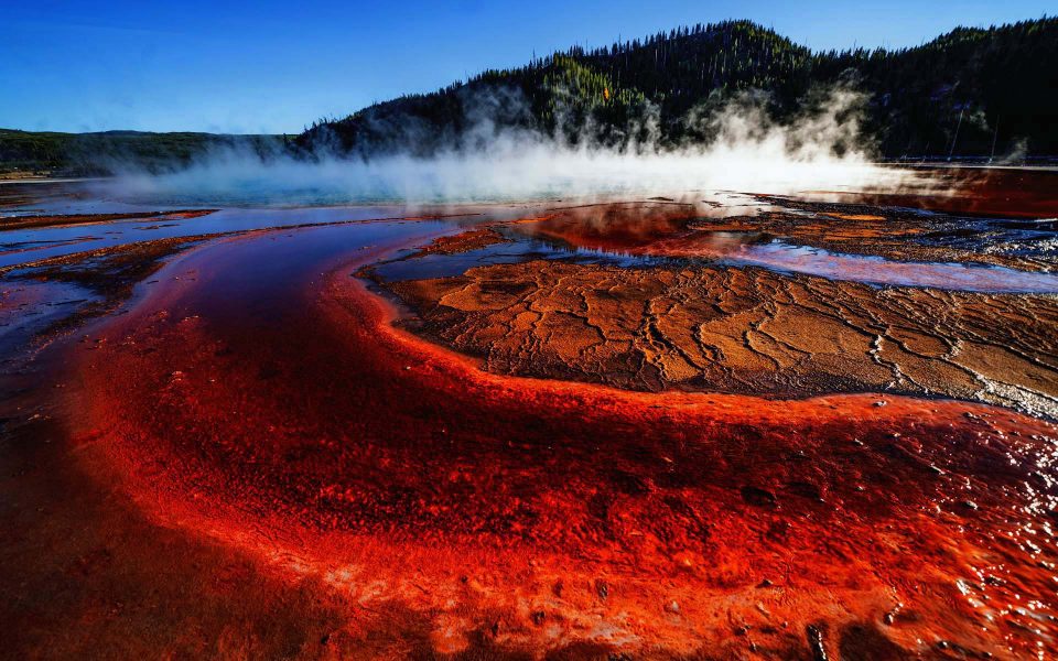 Yellowstone:  Hot Water, Minerals, Bacteria & Algae 04 - Truman Holtzclaw