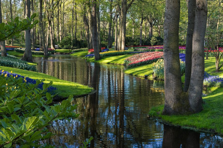 Keukenhof Gardens Amsterdam - Doug Arnold
