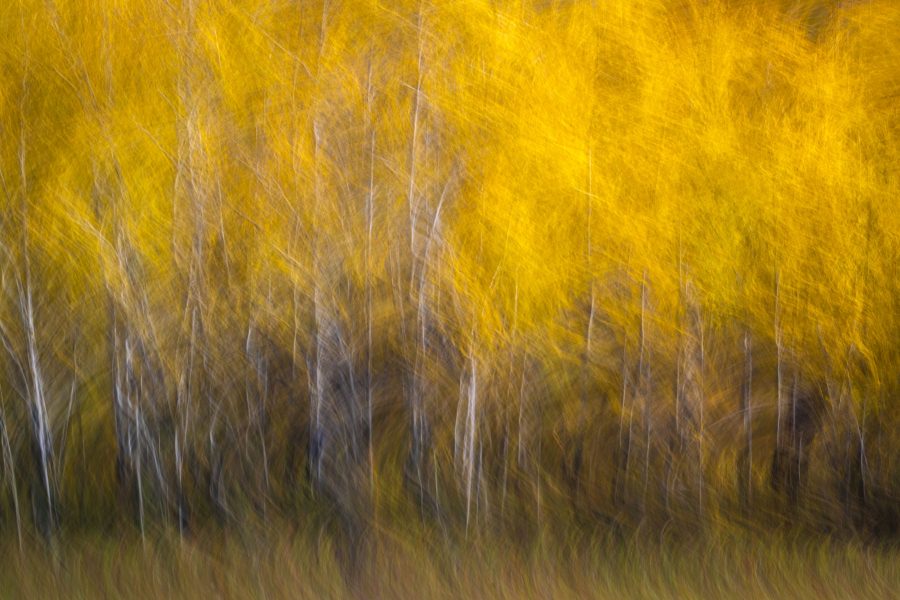 Fall Colors in Spearfish Canyon - Jan Lightfoot (N4C Entry)