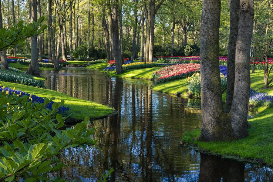 Keukenhof Gardens Amsterdam 02 - Doug Arnold