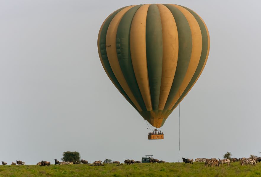 Landing in the Serengeti - Pat Honeycutt