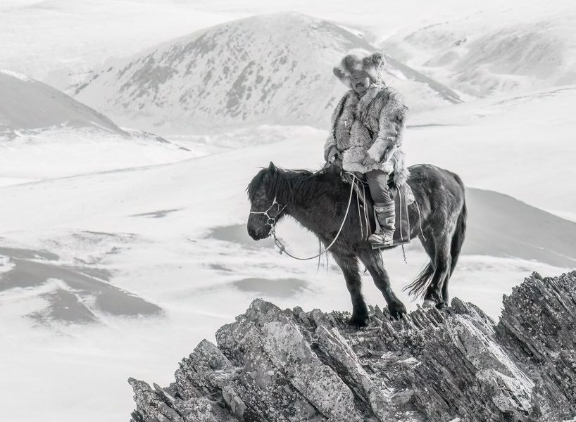 Mongolian Horseman - Jan Lightfoot