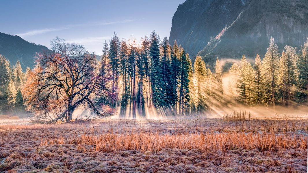 A Morning in Yosemite - Hayata Takeshita