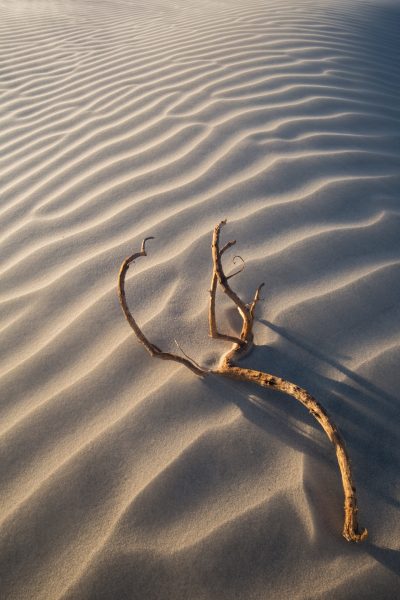 Mesquite Dunes Death Valley National Park - Heather Cline (N4C Entry)