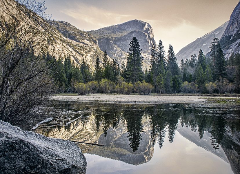 Spring Morning Yosemite - Kathleen Grady