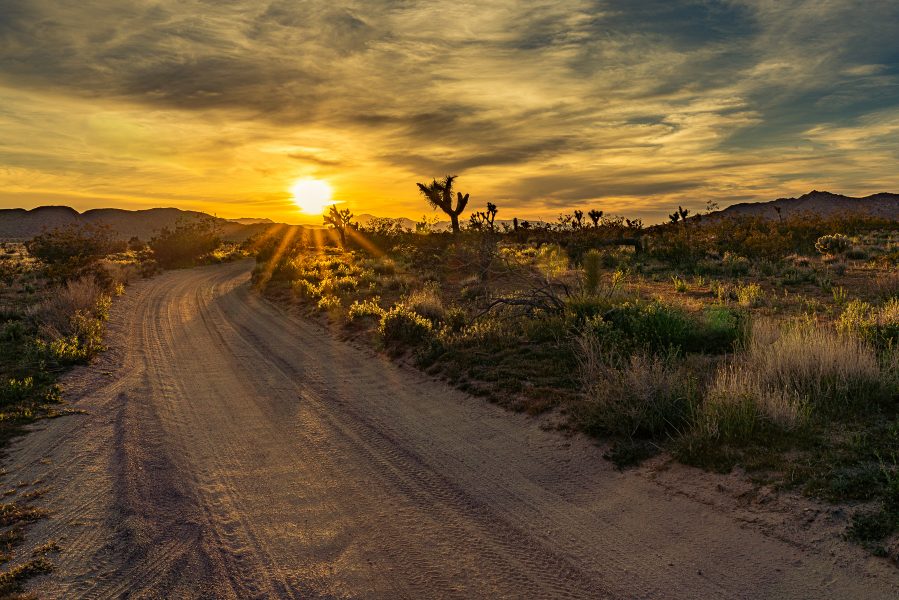 Into the Desert Sunset - Don Goldman