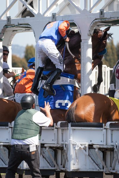 Jockey ejected from horse that panicked at gate. - Jan Lightfoot