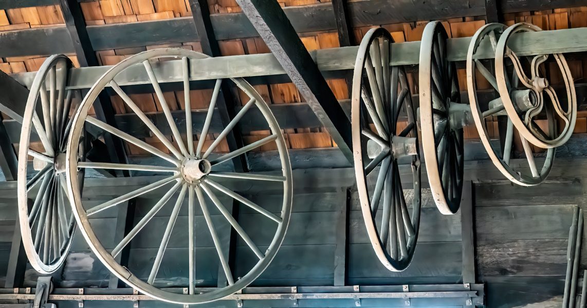 Captive Wagon Wheels in Coloma - Gert Van-Ommering