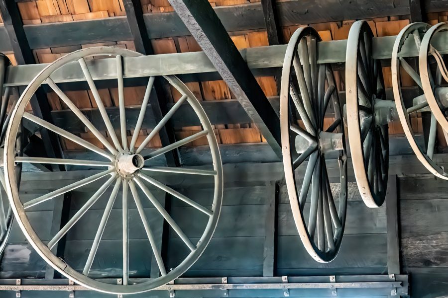 Captive Wagon Wheels in Coloma - Gert Van-Ommering