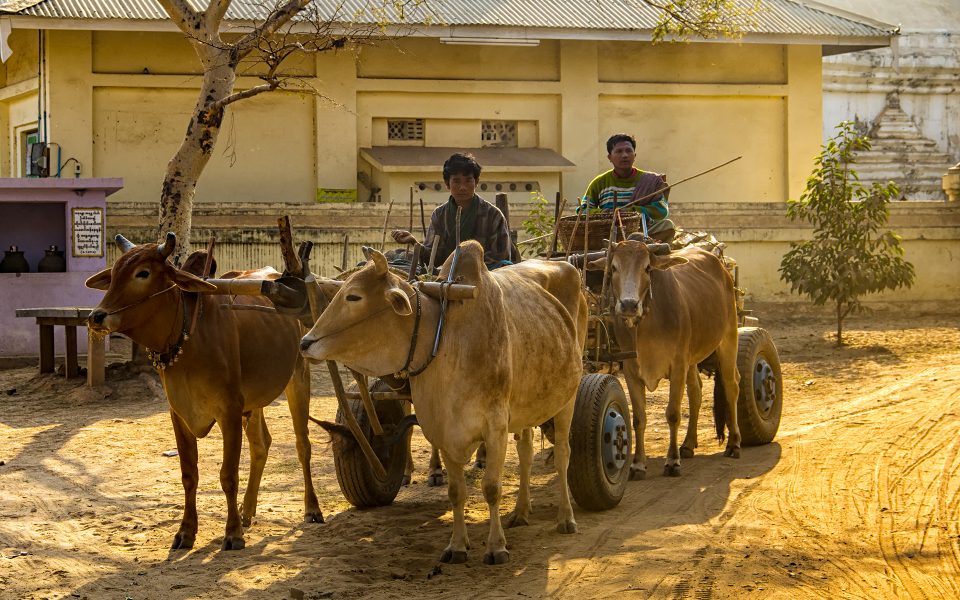 Local Transportation in Myanmar 06 - Gary Cawood