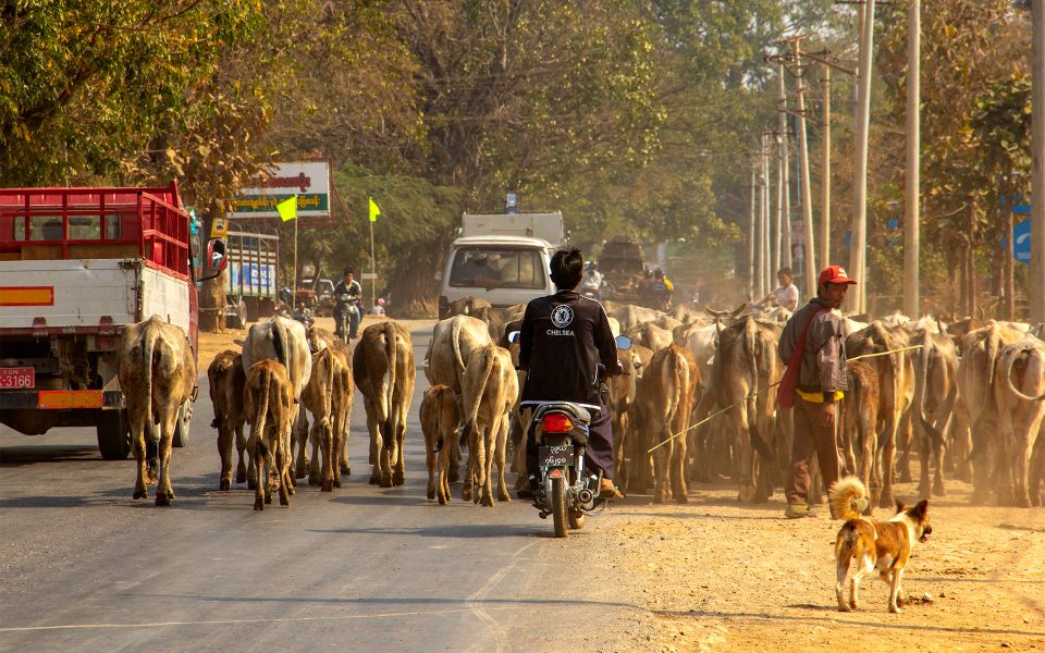 Local Transportation in Myanmar 07 - Gary Cawood