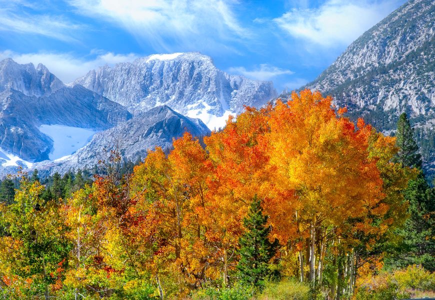 Fall Color Eastern Sierra - Gary Ritchie (N4C Entry)