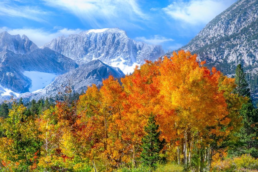 Fall Color Eastern Sierra - Gary Ritchie (N4C Entry)