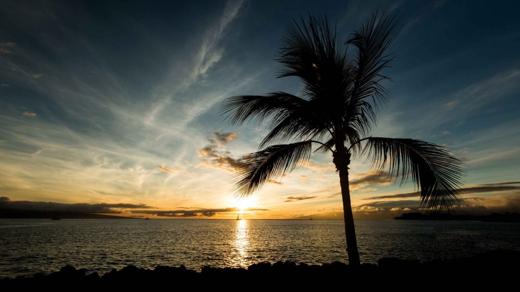 Maui Sunset - Collin McKahin