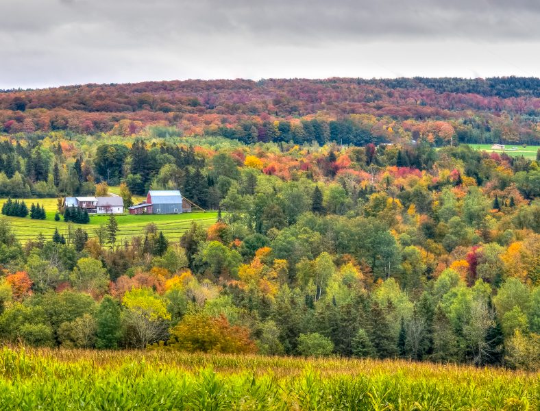 Autumn in Vermont 02 - Doug Arnold