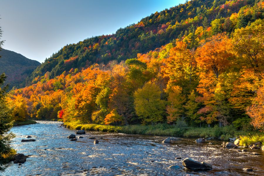 Autumn in Vermont 04 - Doug Arnold