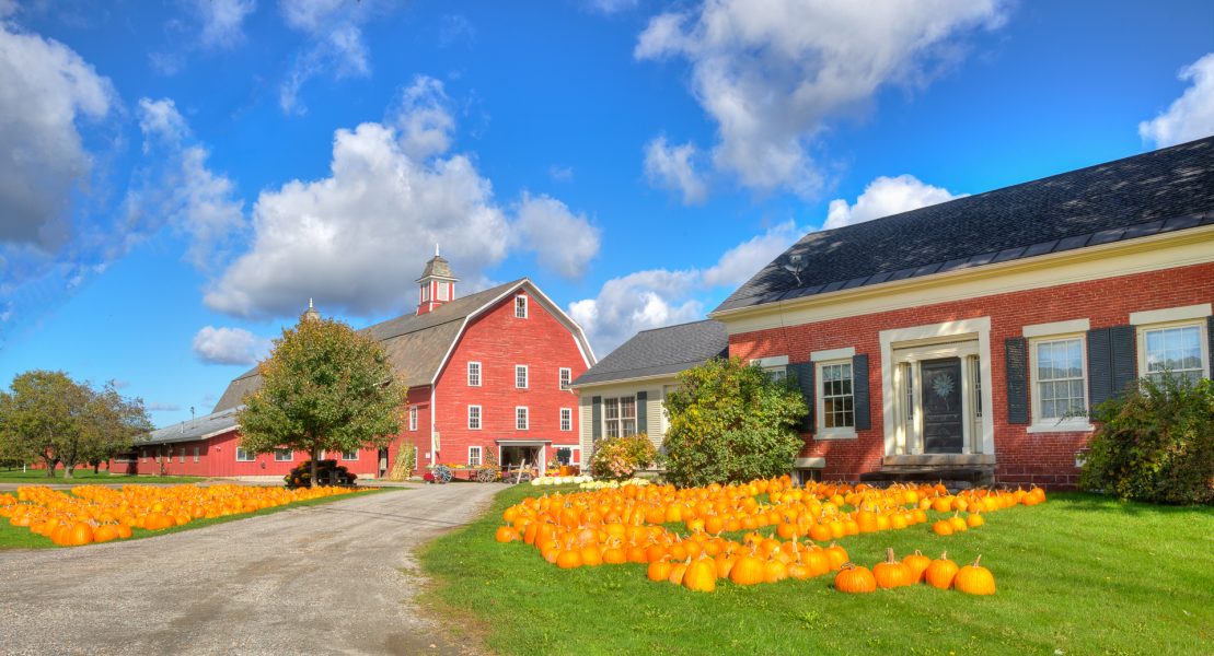 Autumn in Vermont 05 - Doug Arnold