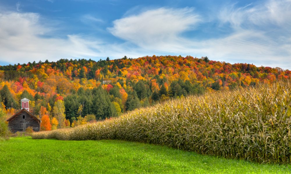 Autumn in Vermont 07 - Doug Arnold