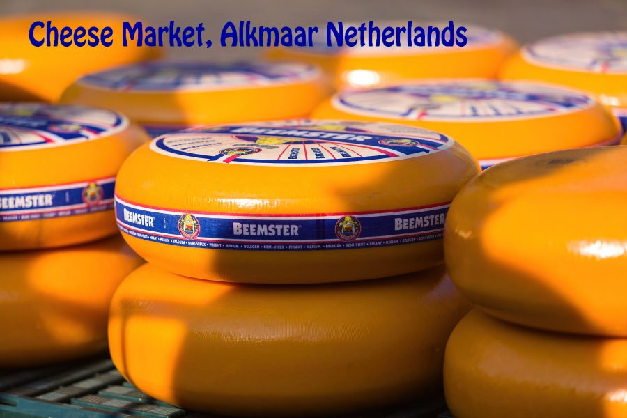 Cheese Market Alkmaar Netherlands 01 - Doug Arnold