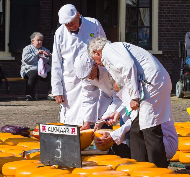 Cheese Market Alkmaar Netherlands 04 - Doug Arnold