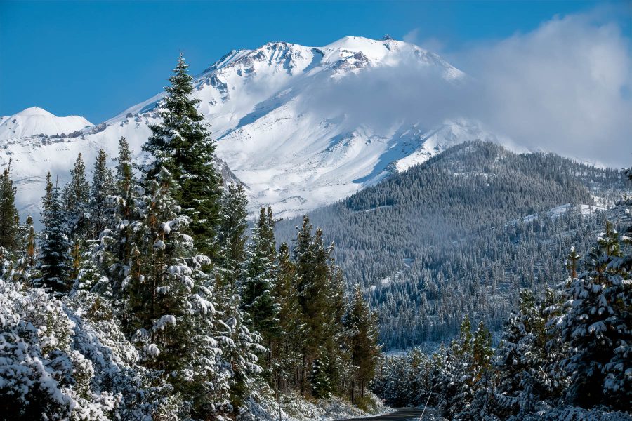 Mount Shasta - Irene Berger