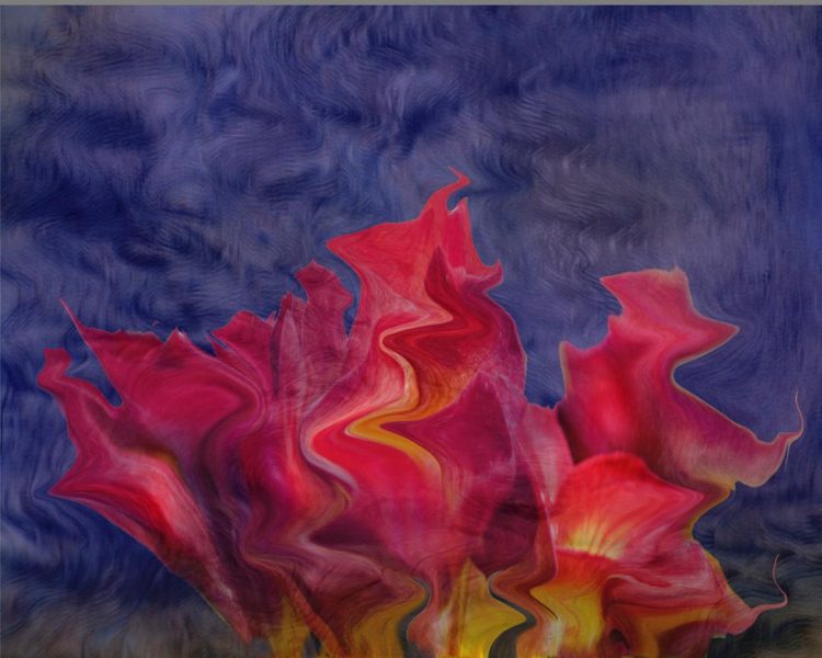 Flowers Aflame - Bob Hubbell