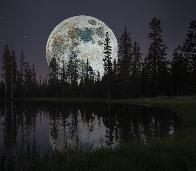 Real Colors of the Moon Over Lily Pond - Don Goldman
