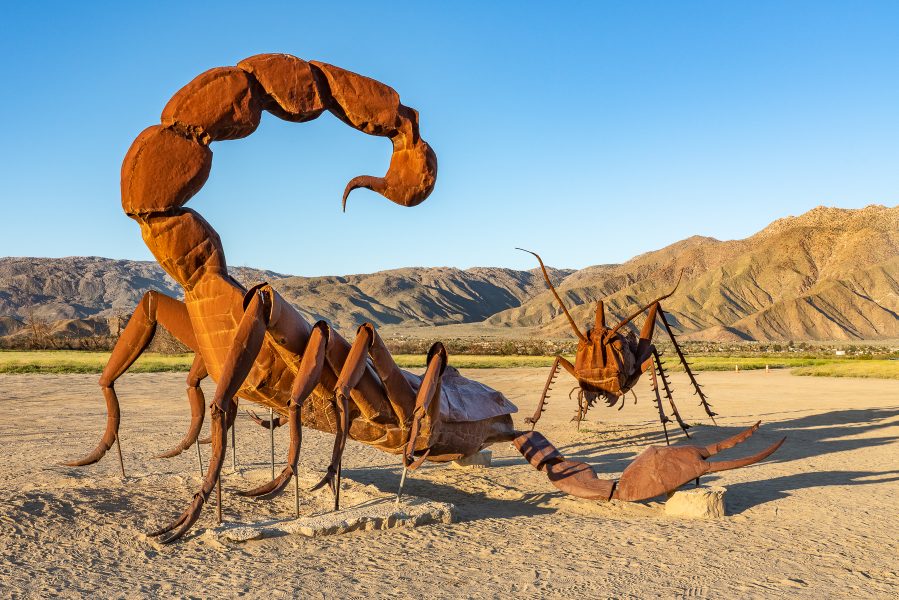 Borrego Valley Metal Sky Art Structures-03 - Don Goldman