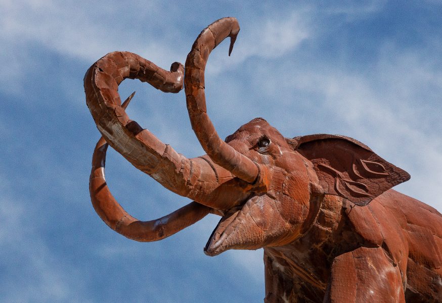 Borrego Valley Metal Sky Art Structures-06 - Don Goldman