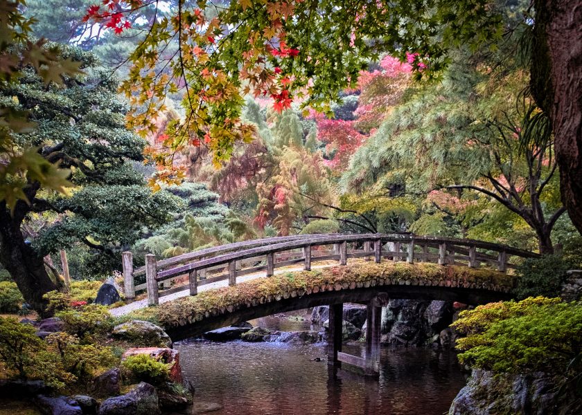 Japanese Garden in Autumn - Theo Goodwin