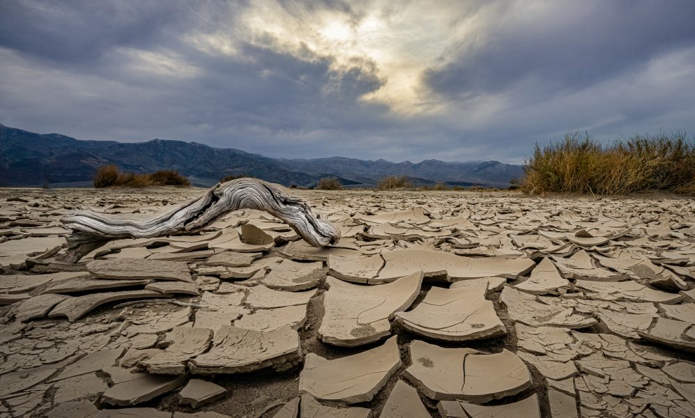 Death Valley Mud Flat - Don Goldman