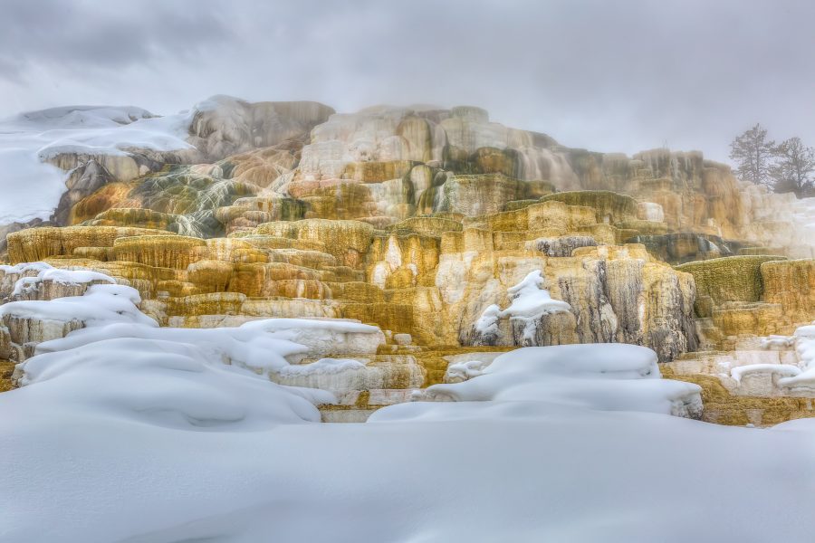 Winter in Yellowstone 03 - Doug Arnold