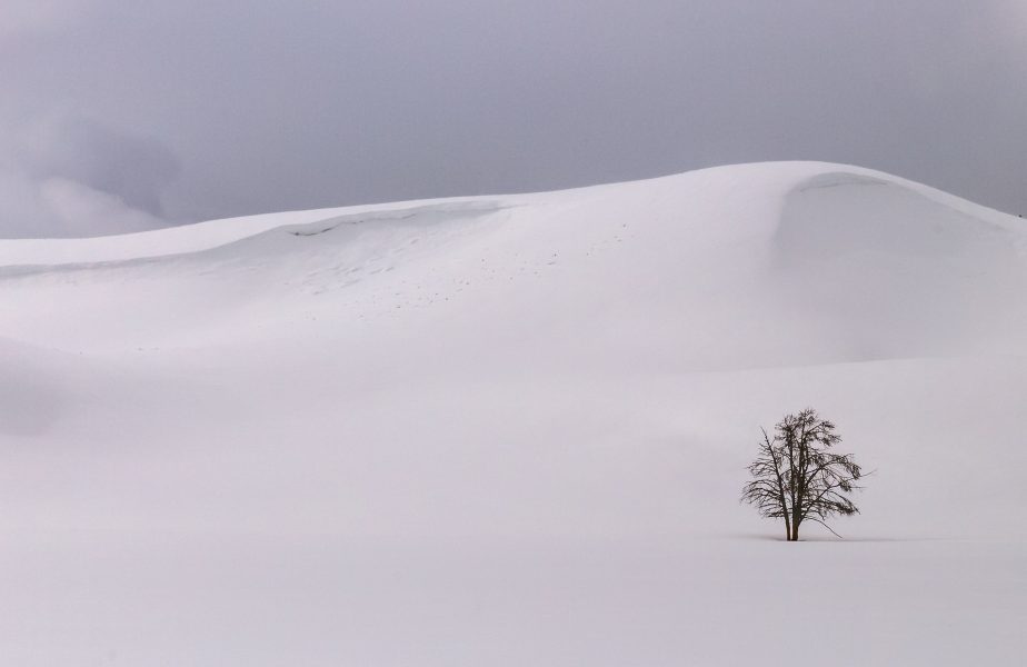 Winter in Yellowstone 07 - Doug Arnold