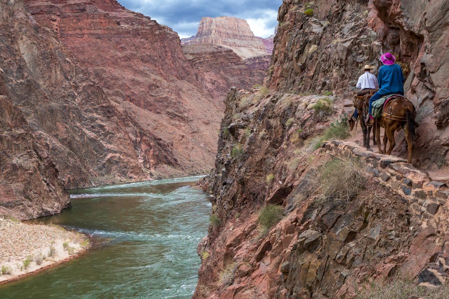 The Great Grand Canyon Mule Ride 02 - Jan Lightfoot