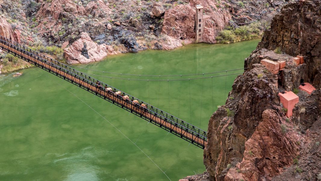 The Great Grand Canyon Mule Ride 04 - Jan Lightfoot