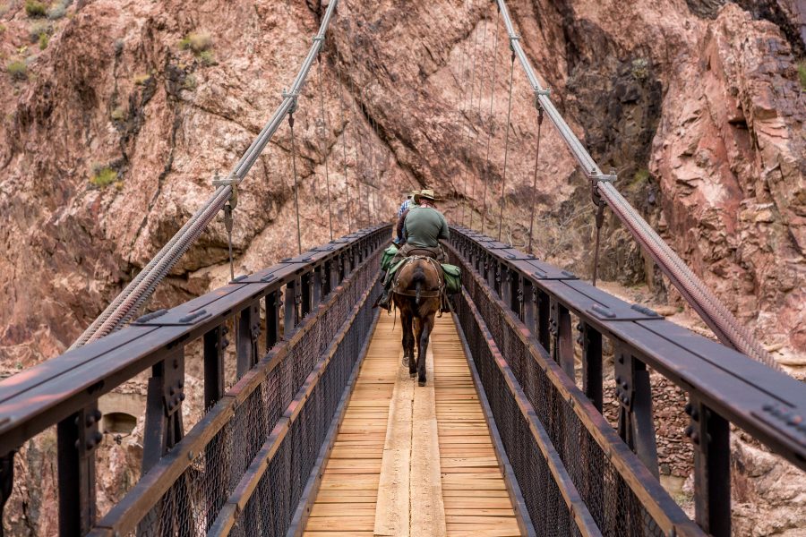 The Great Grand Canyon Mule Ride 05 - Jan Lightfoot