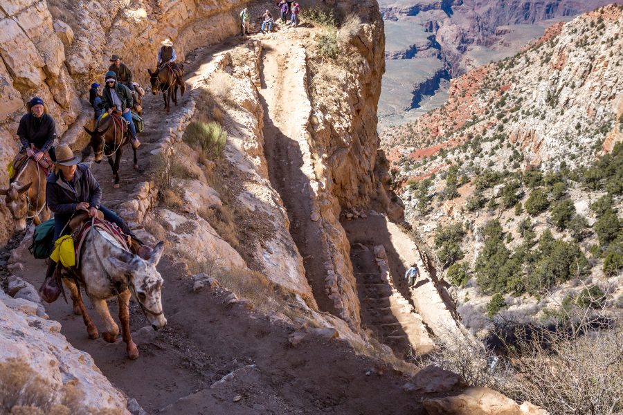 The Great Grand Canyon Mule Ride 07 - Jan Lightfoot