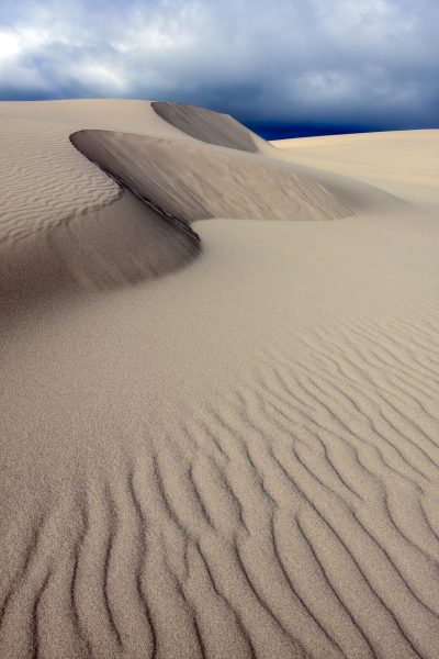 Oregon Dunes - Jan Lightfoot