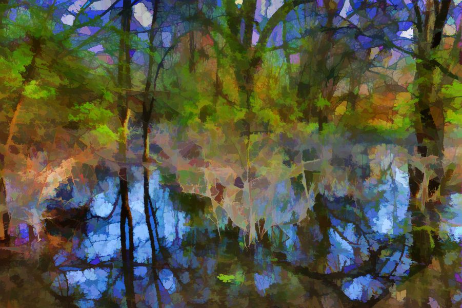 Trees in Water - Ed Lindquist