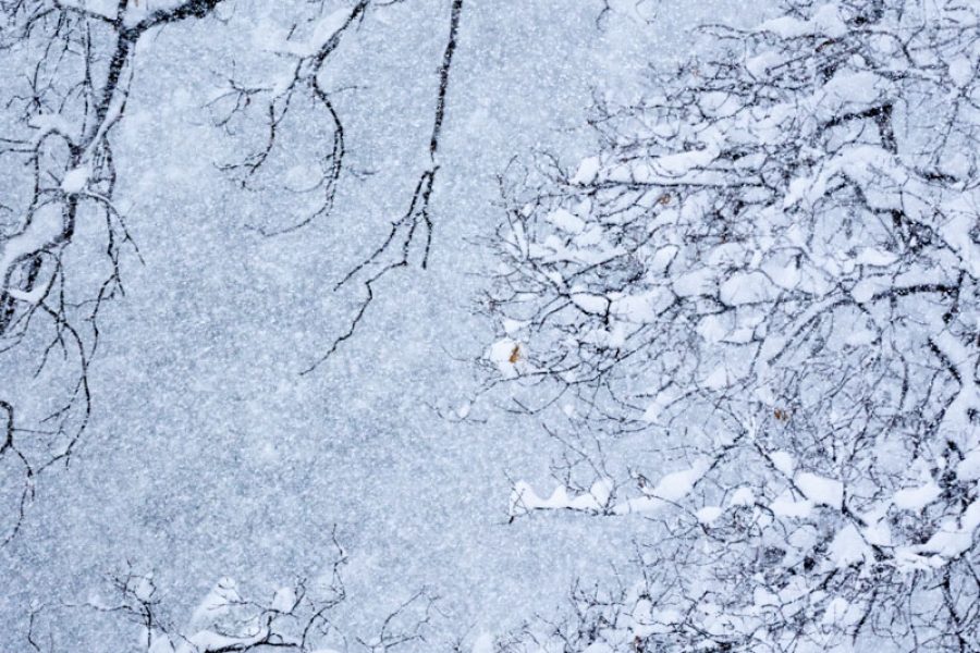 Winter Out my Window - Jan Lightfoot