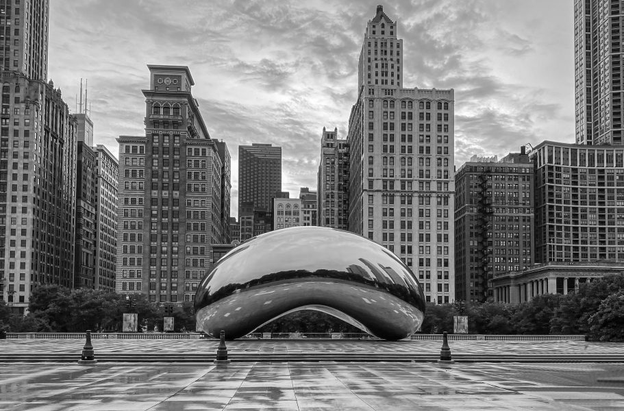 The Bean with No Admirers - Jeff Molander